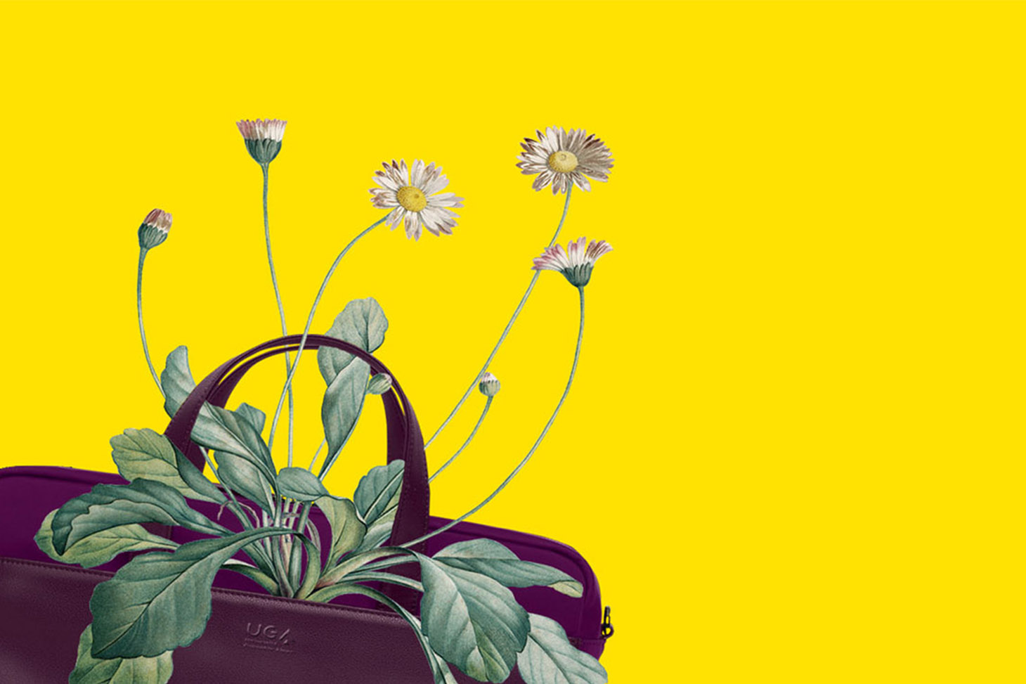 Formations à la créativité et au design