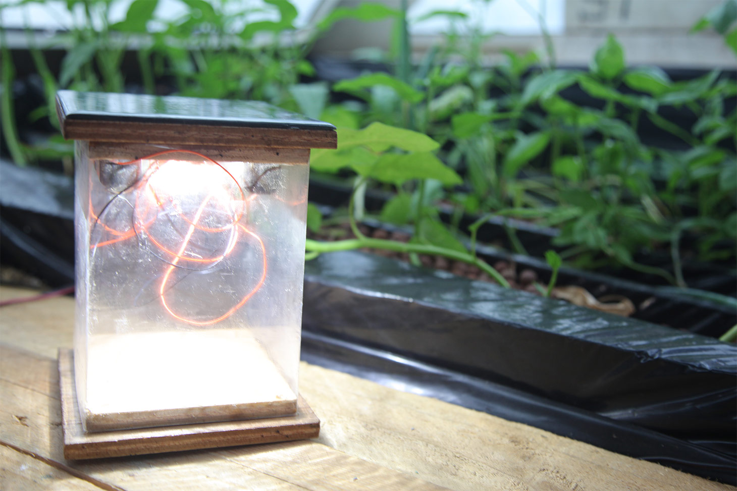 Valeur automatiquement renseignée depuis la médiathèque