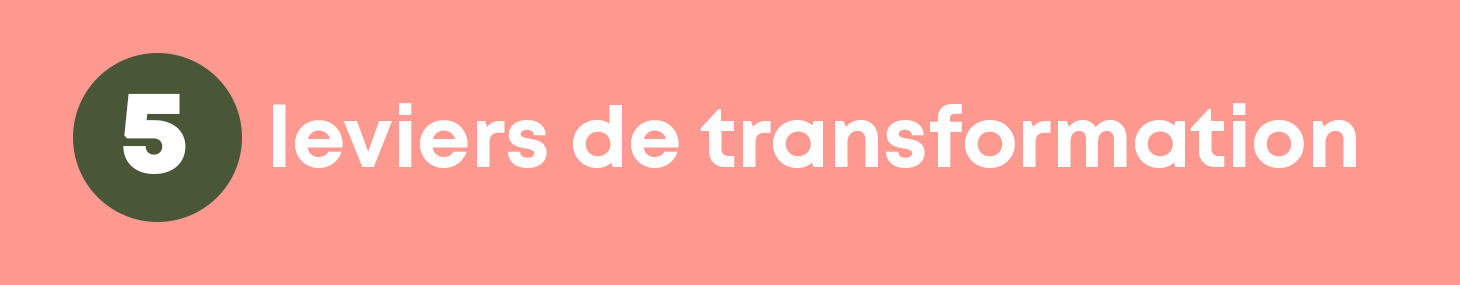 5 leviers de transformation