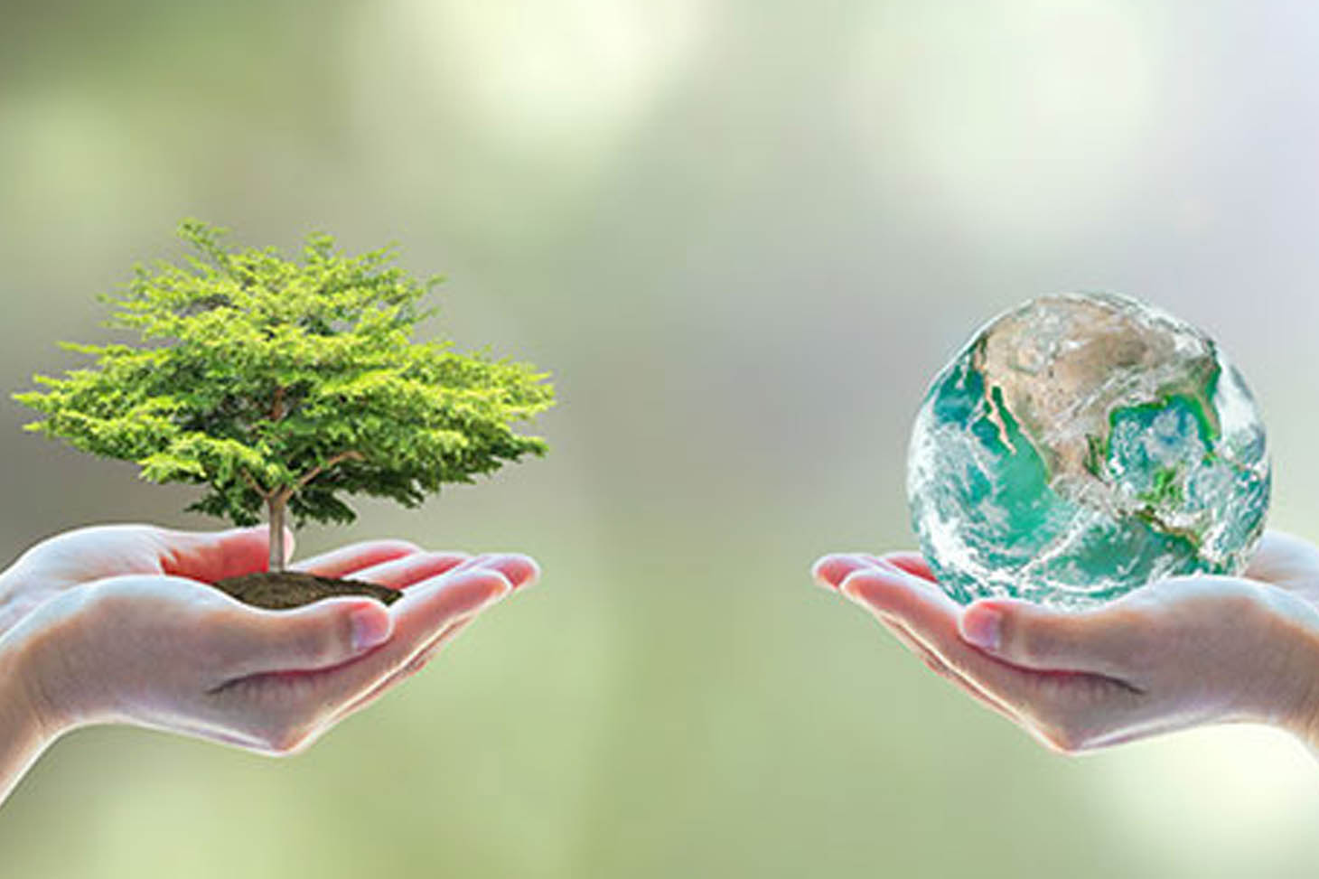 Green University : une école thématique dédiée aux sujets des transitions