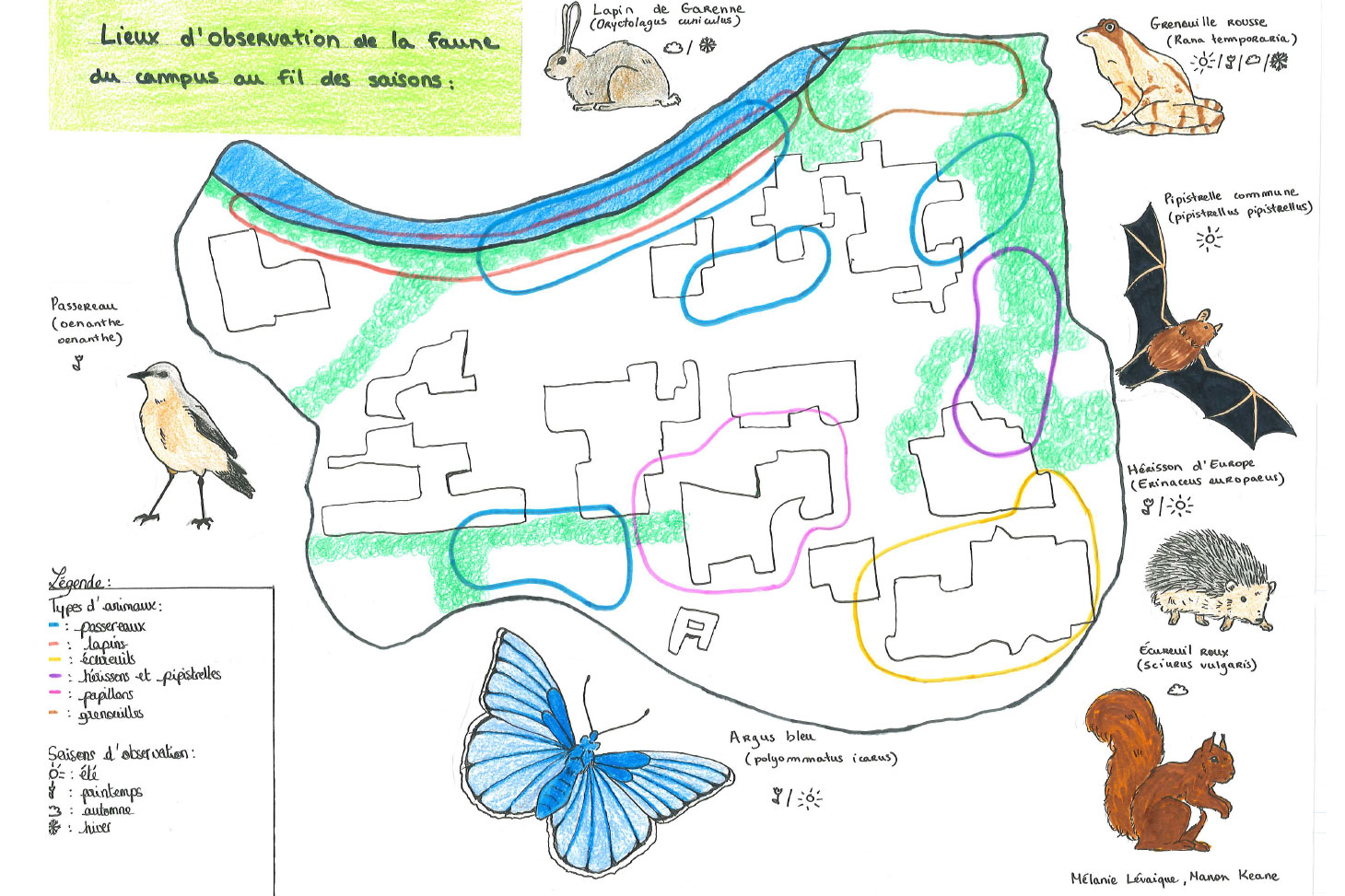 Carte des lieux d'observation de la faune selon les saisons